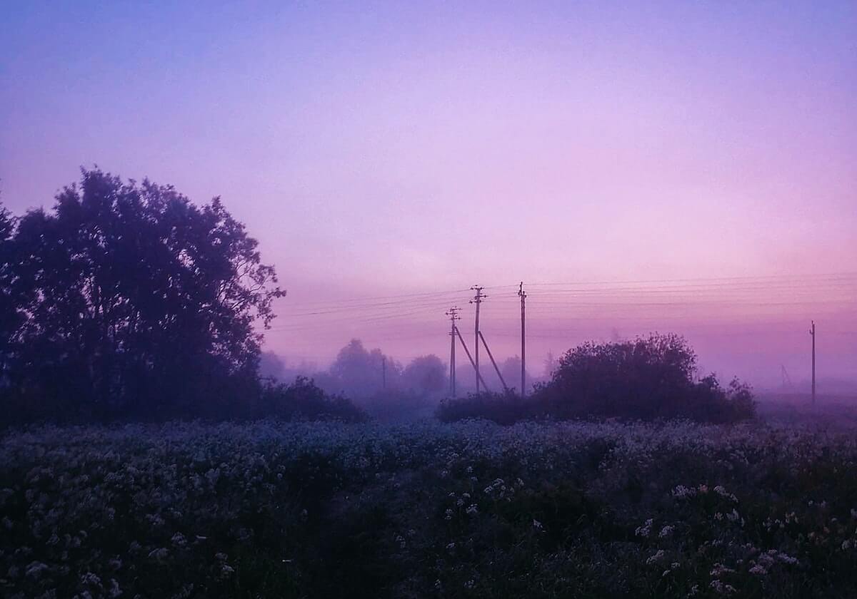 kaiyun管理-张奔斗：2020三大满贯6张颁奖图告诉了我们什么